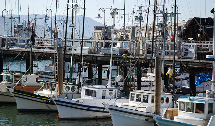 Monterey Fisherman's Wharf Restaurants - Best Western Carmel