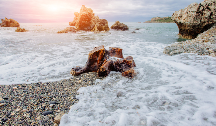 Hotel Near Pebble Beach Golf Links Best Western Carmel